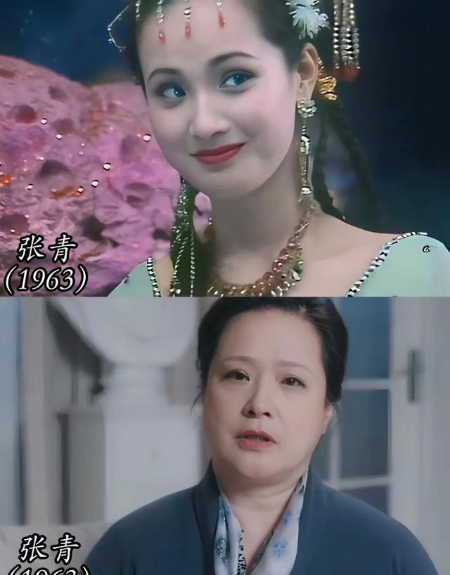 滴滴版小苹果滴滴车主最新司机版苹果版