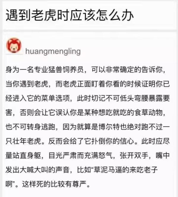 草官方客户端三叶草官方网站入口