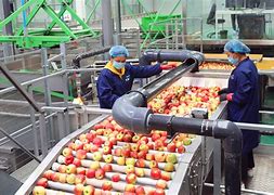 庆阳划水苹果版宁夏欢乐划水下载-第2张图片-太平洋在线下载