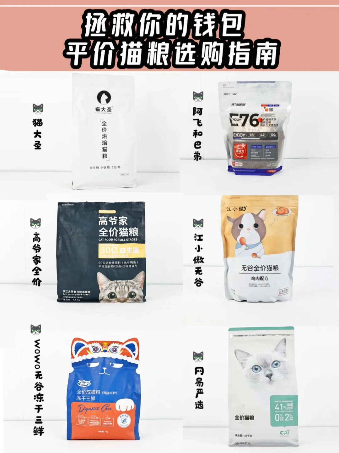 猫猫钱包安卓版叮当钱包app下载-第1张图片-太平洋在线下载